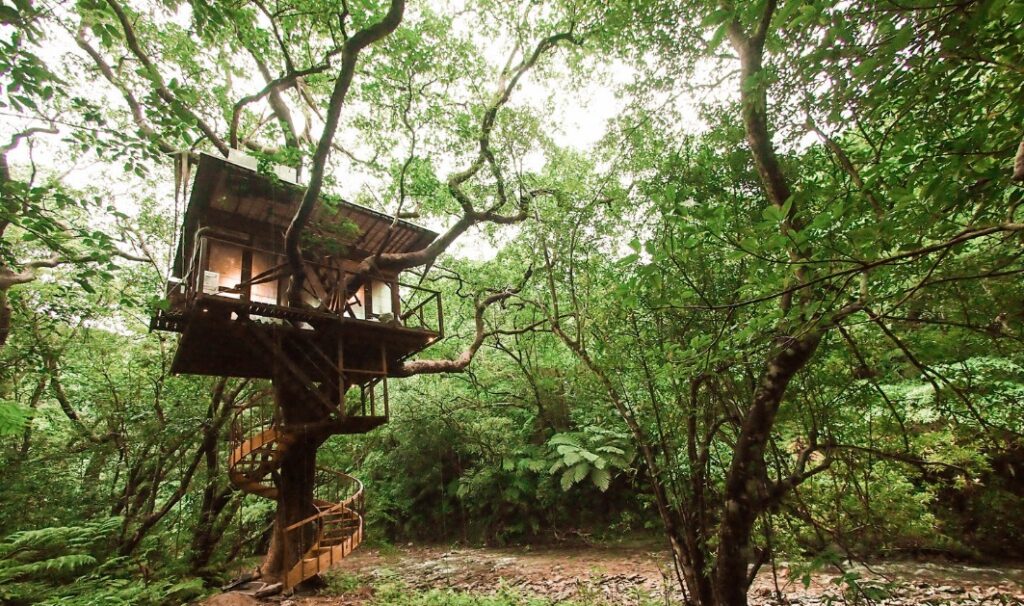 Treehouse hotel in Japan, sustainable and eco-friendly tourism at it's best